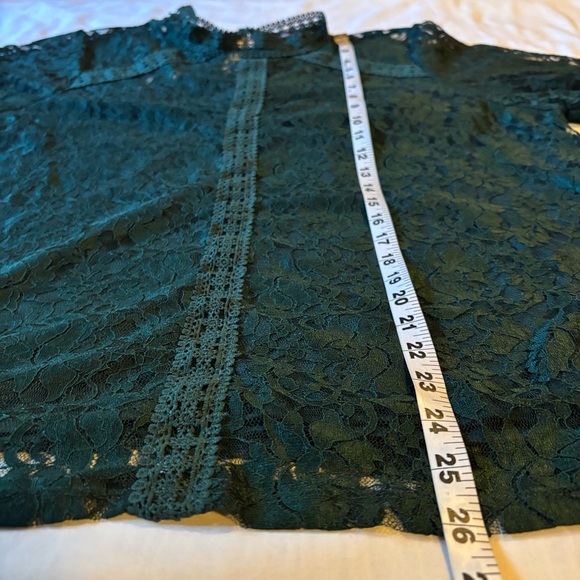 Cable & Gauge Women's Green Lace lined sheer holiday Top Blouse Size XL - Picture 6 of 8